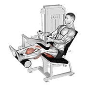 Animación de lever seated leg curl