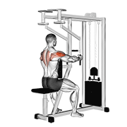 Animación de lever seated reverse fly (parallel grip)