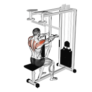 Animación de lever seated reverse fly