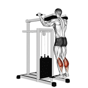 Animación de lever standing calf raise