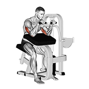 Animación de lever triceps extension