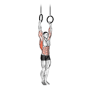 Animación de muscle up