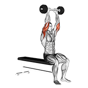 Animación de olympic barbell triceps extension