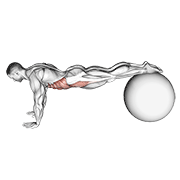 Animación de pull-in (on stability ball)