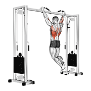Animación de pull up (neutral grip)