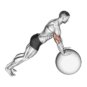 Animación de push-up (on stability ball)