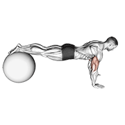 Animación de push-up (on stability ball)