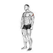 Animación de rear deltoid stretch