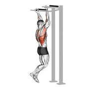 Animación de reverse grip pull-up