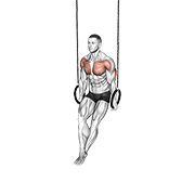 Animación de ring dips