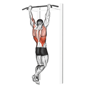 Animación de rocky pull-up pulldown