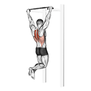 Animación de scapular pull-up