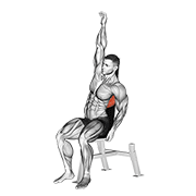 Animación de seated lower back stretch