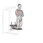 Animación de self assisted inverse leg curl