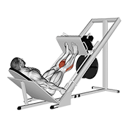 Animación de sled 45в° calf press