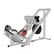 Animación de sled 45в° leg press