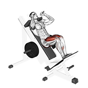 Animación de sled closer hack squat