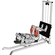 Animación de sled lying squat