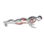Animación de spider crawl push up