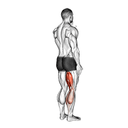Animación de standing single leg curl