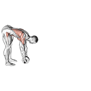 Animación de standing wheel rollerout