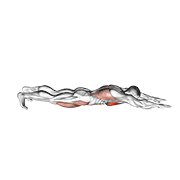 Animación de superman push-up