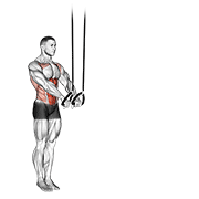 Animación de suspended abdominal fallout