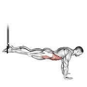 Animación de suspended reverse crunch