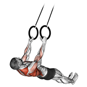 Animación de suspended row
