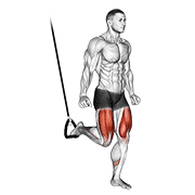 Animación de suspended split squat