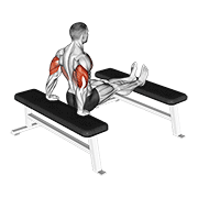 Animación de triceps dip (bench leg)