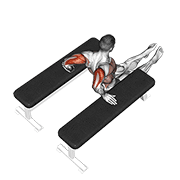 Animación de triceps dip (between benches)