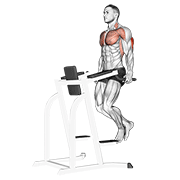 Animación de triceps dip