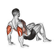 Animación de triceps dips floor