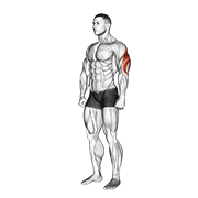 Animación de triceps stretch