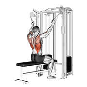 Animación de twin handle parallel grip lat pulldown