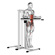 Animación de vertical leg raise (on parallel bars)
