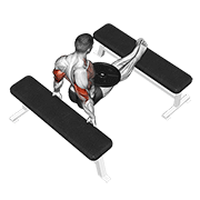 Animación de weighted bench dip
