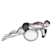 Animación de weighted hyperextension (on stability ball)