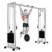 Animación de weighted pull-up