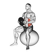 Animación de weighted seated twist (on stability ball)