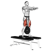 Animación de weighted squat