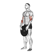Animación de weighted standing curl