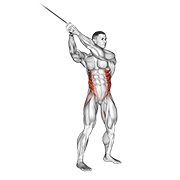 Animación de cable twist (up-down)