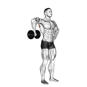 Animación de dumbbell upright shoulder external rotation