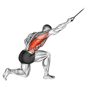Animación de band kneeling one arm pulldown