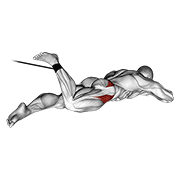 Animación de band lying hip internal rotation