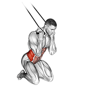 Animación de band kneeling twisting crunch