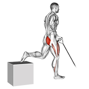 Animación de band one arm single leg split squat