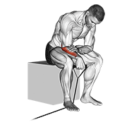 Animación de band reverse wrist curl